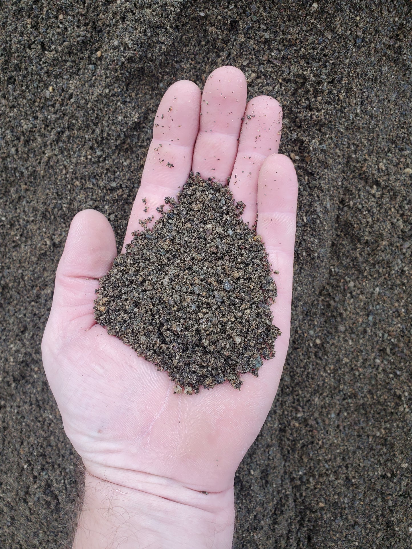 Regular/Concrete Sand