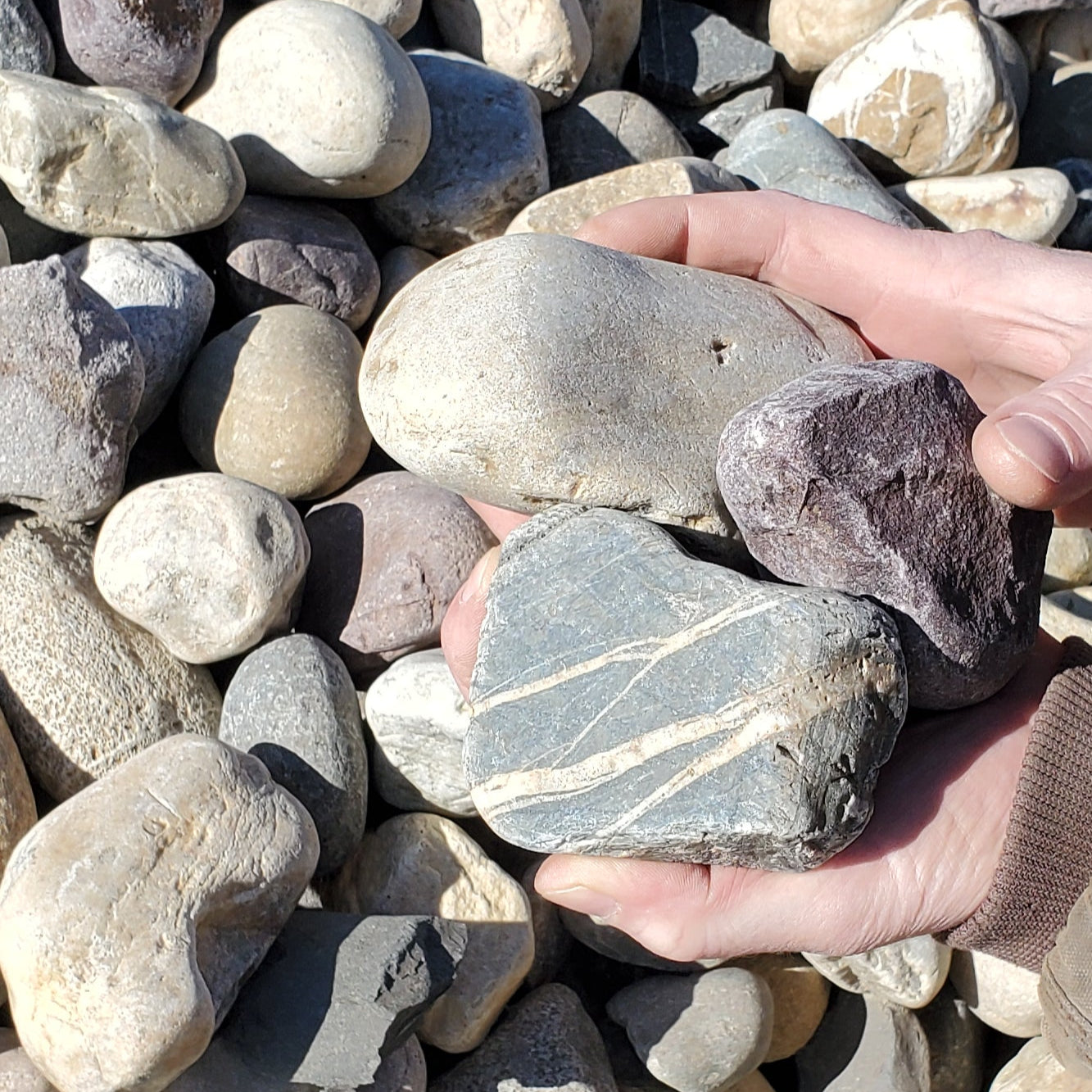 Medium Cobbles