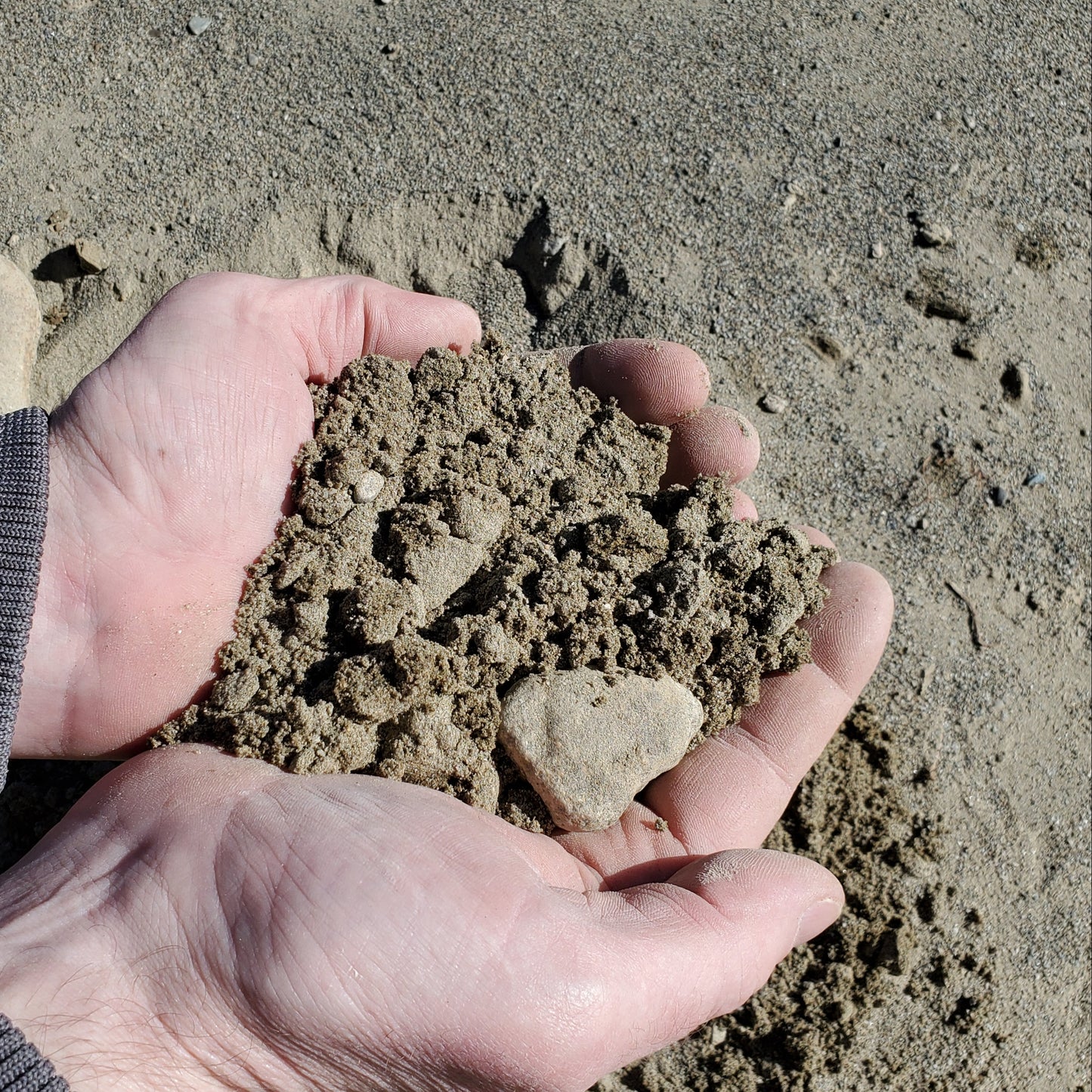 Sandy Fill