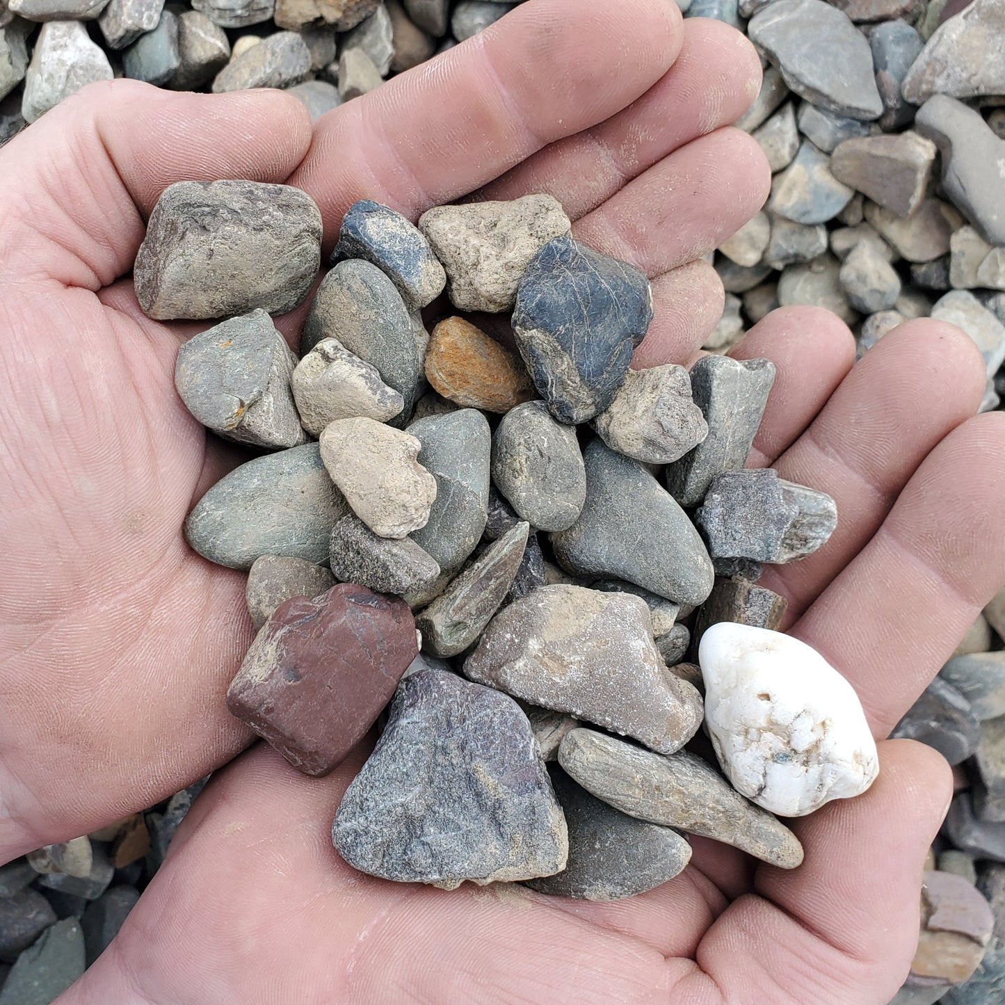 #2 Round River Stone