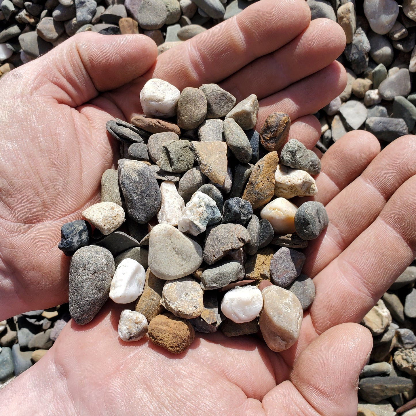 #1 Round Garden Stone