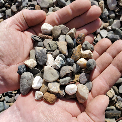 #1 Round Garden Stone
